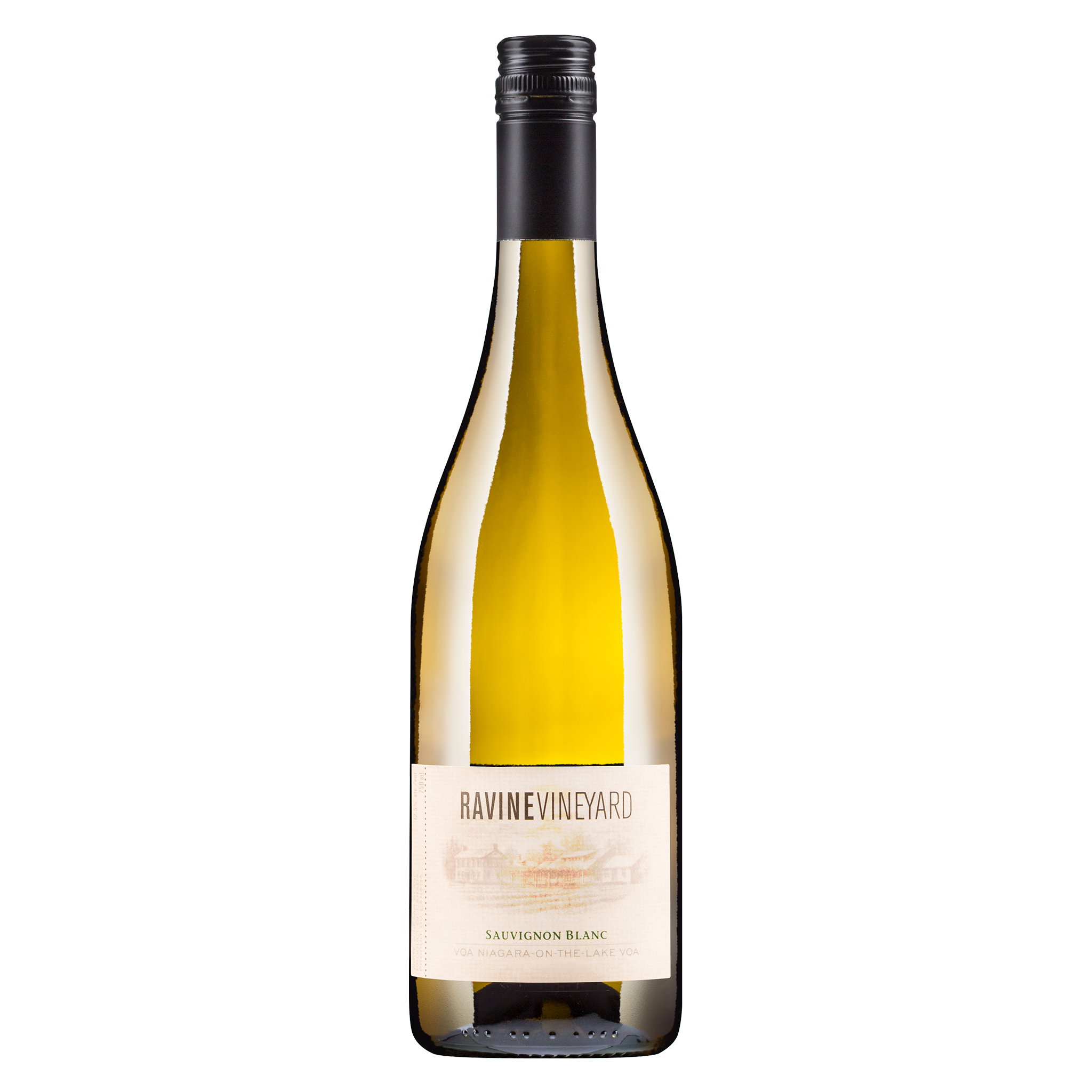 2024 Ravine Sauvignon Blanc – Ravine Vineyard